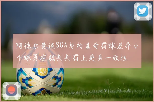 阿德尔曼谈SGA与约基奇罚球差异小个球员在裁判判罚上更具一致性