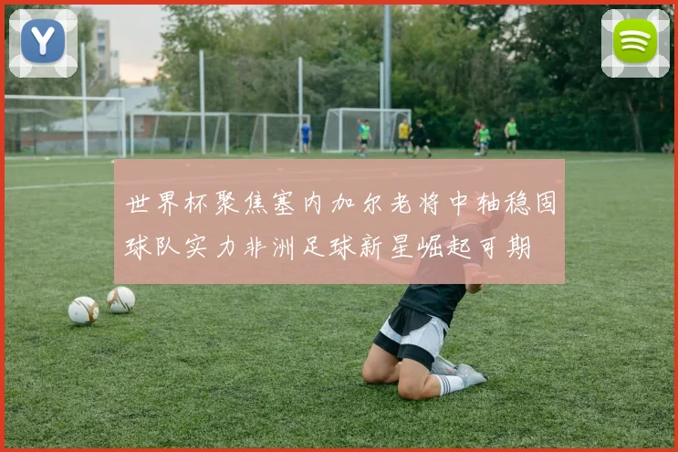 世界杯聚焦塞内加尔老将中轴稳固球队实力非洲足球新星崛起可期